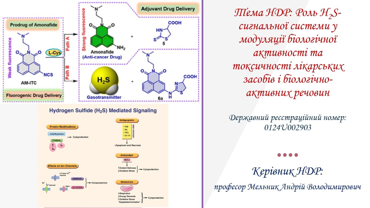 https://www.vnmu.edu.ua/downloads/medbiochemistry/Наукова робота кафедри_02.jpg